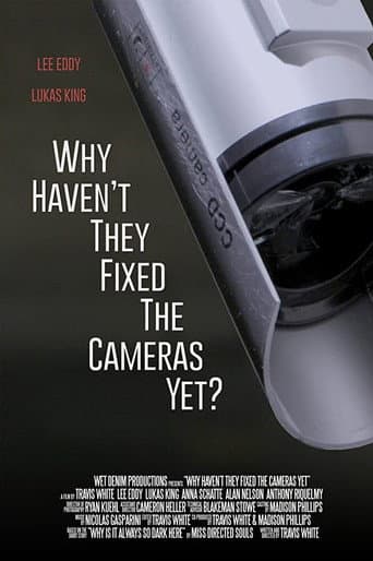 Poster de Why Haven't They Fixed the Cameras Yet?