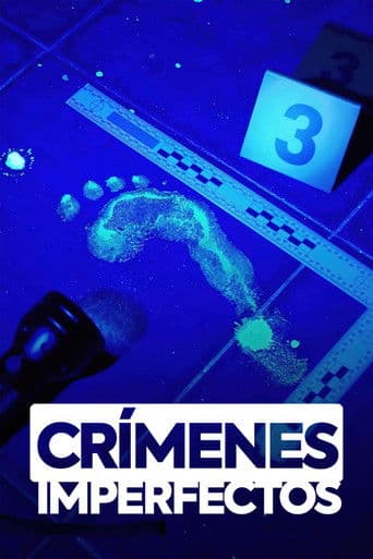 Poster de Crímenes Imperfectos