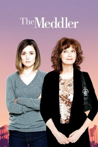 Poster de The Meddler