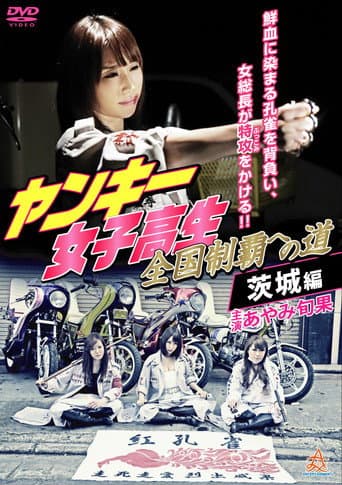 Poster de ンキー女子高生　全国制覇への道　茨城編