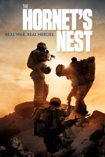 Poster de The Hornet's Nest