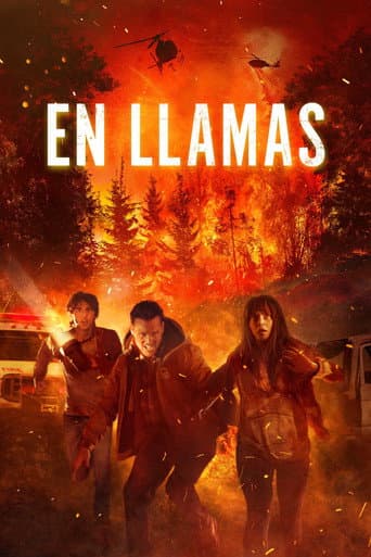 Poster de En llamas
