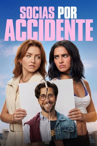 Poster de Accidental Partners