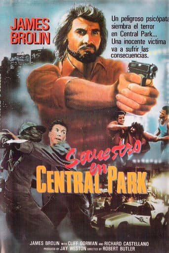 Poster de Secuestro en Central Park