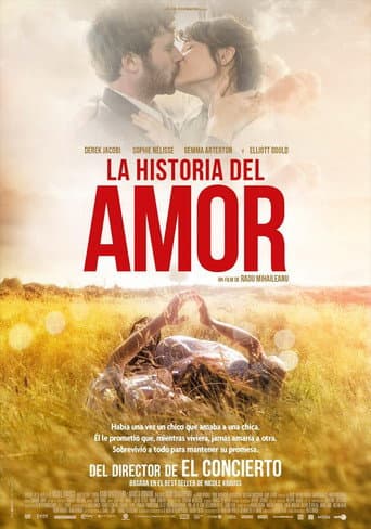 Poster de La historia del amor