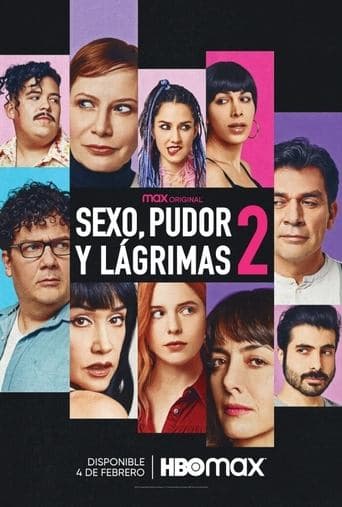 Poster de Sex, Shame and Tears 2