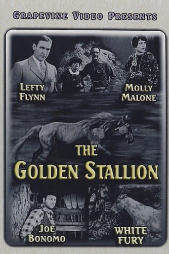Poster de The Golden Stallion