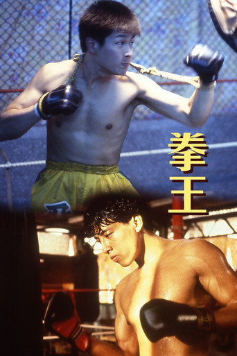 Poster de 拳王
