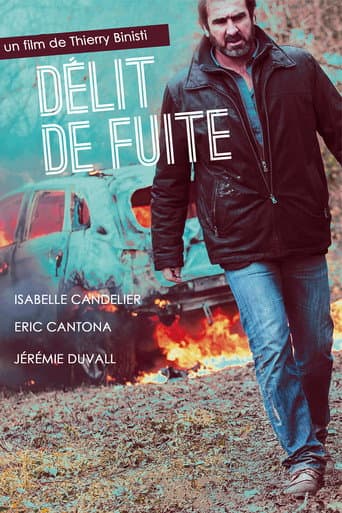 Poster de Délit de fuite