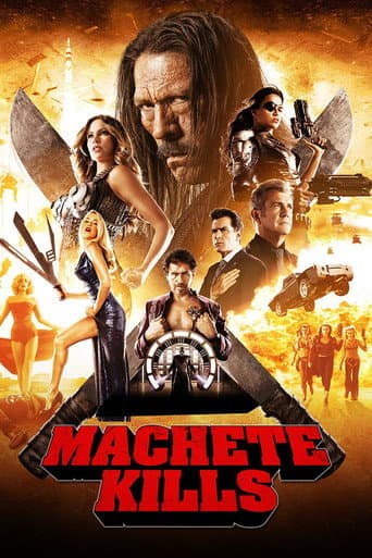 Poster de Machete Kills