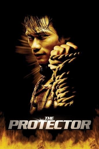 Poster de The Protector