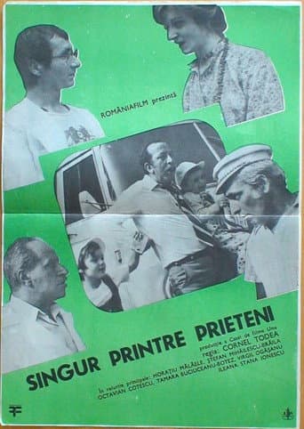 Poster de Singur printre prieteni