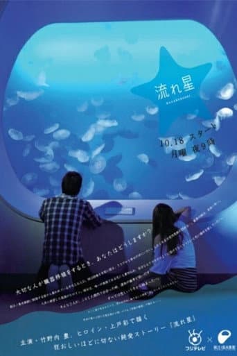Poster de Nagareboshi (Estrella Fugaz)