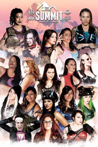 Poster de The Summit
