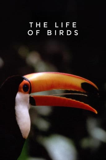 Poster de La Vida de las Aves