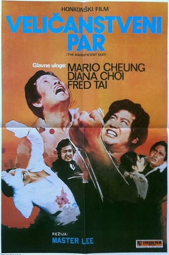 Poster de El magnífico dúo