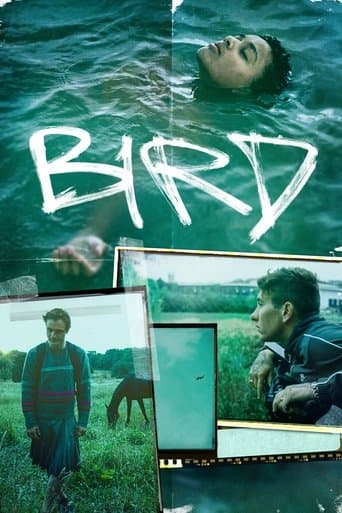 Poster de Bird