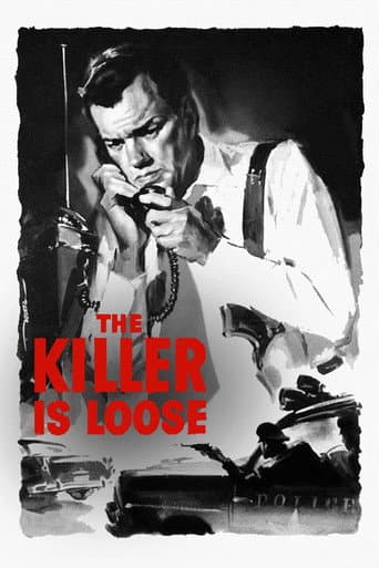 Poster de The Killer Is Loose