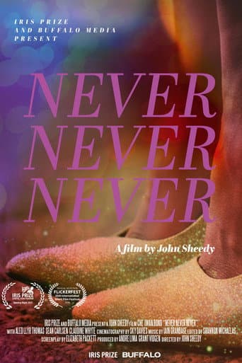 Poster de Never Never Never