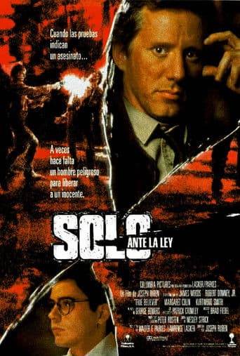Poster de Sólo ante la ley
