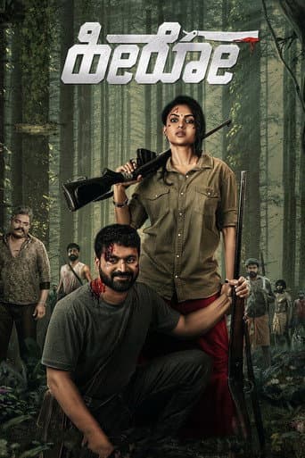 Poster de Hero