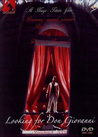 Poster de Looking for Don Giovanni