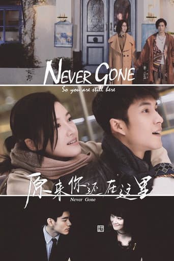Poster de Never Gone