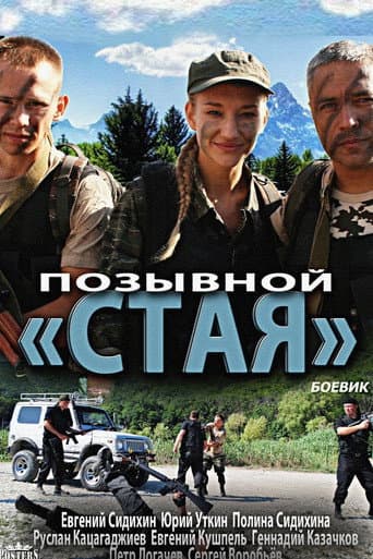 Poster de Позывной «Стая»