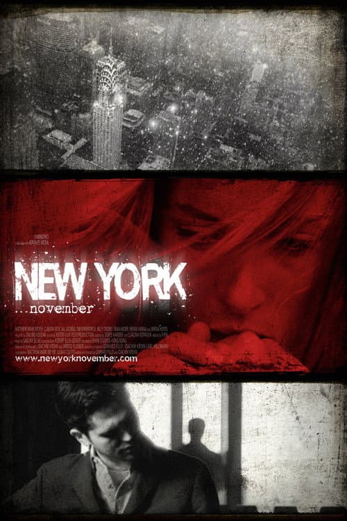Afiche de New York November