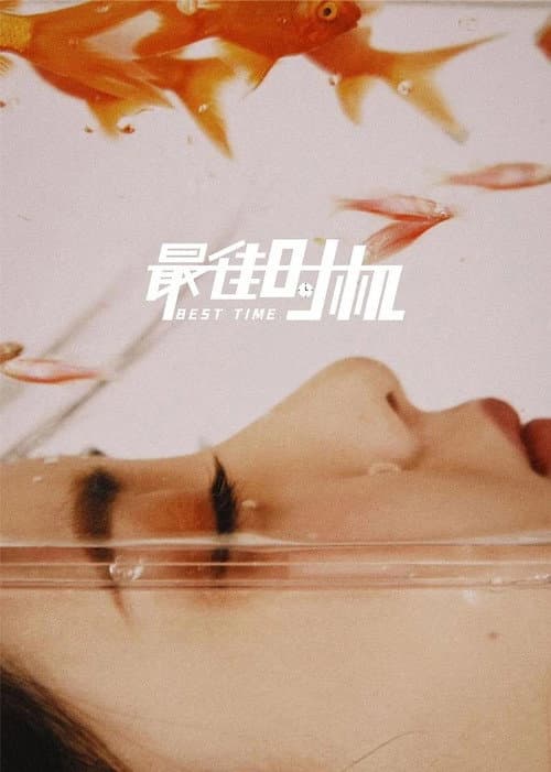 Afiche de 最佳时机