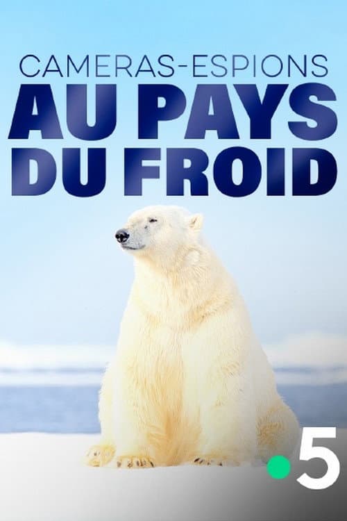 Afiche de Caméras-espions au pays du froid