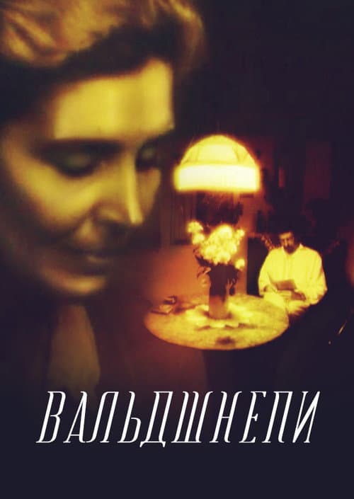 Afiche de Вальдшнепи