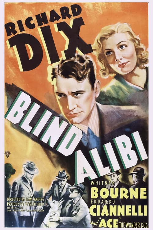 Afiche de Blind Alibi