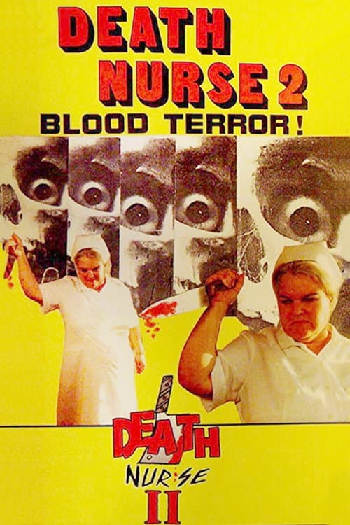 Afiche de Death Nurse 2