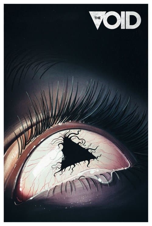 Afiche de The Void