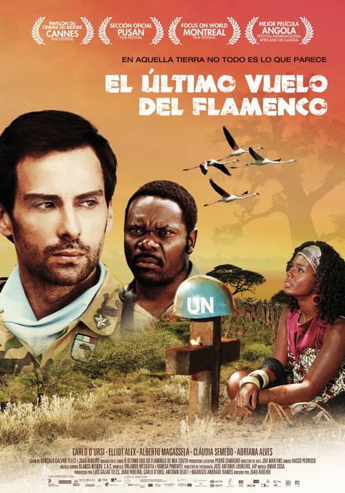 Afiche de O Último Voo do Flamingo