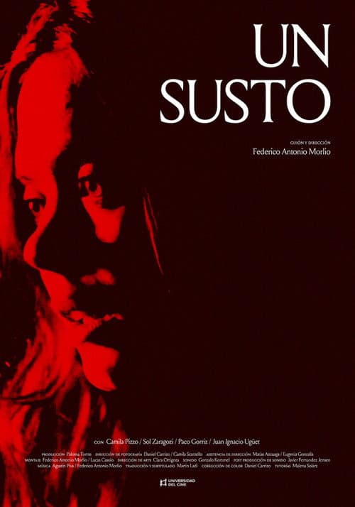 Afiche de Un susto