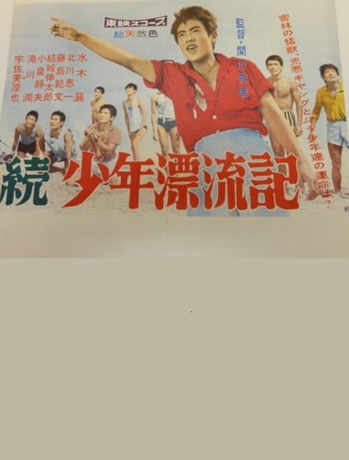 Afiche de 続少年漂流記