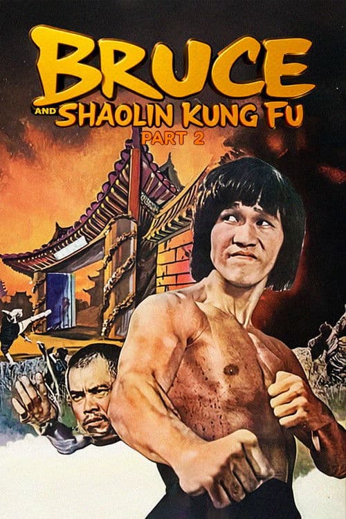 Afiche de Bruce and Shaolin Kung Fu Part 2
