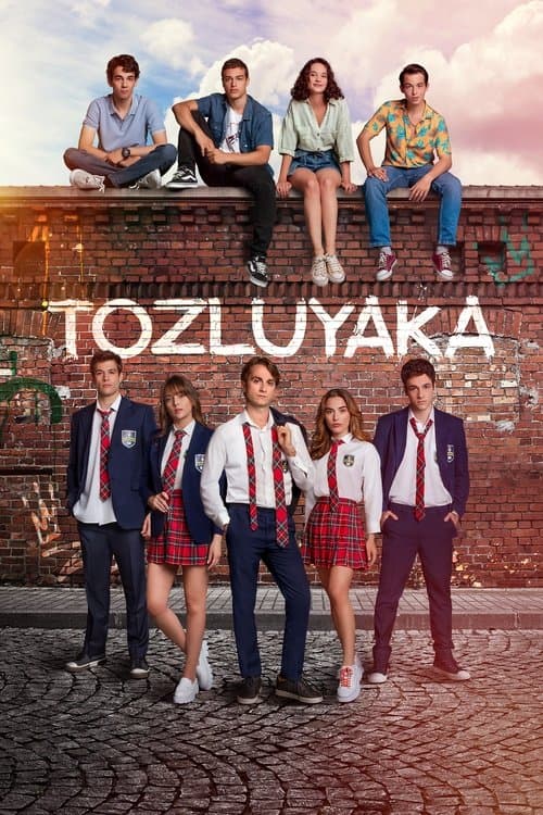 Afiche de Tozluyaka