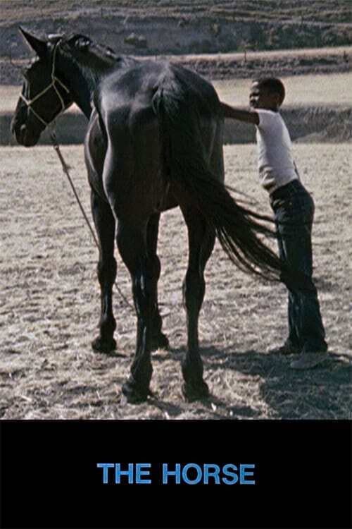 Afiche de The Horse