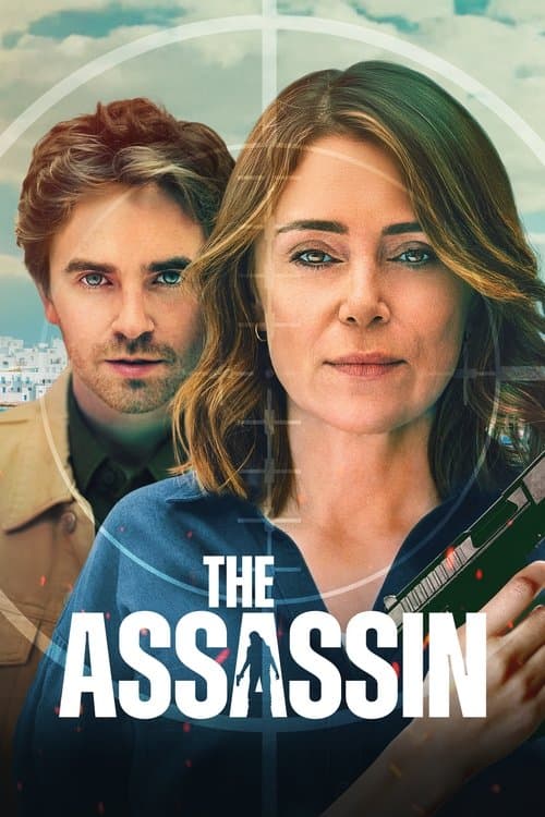 Afiche de The Assassin