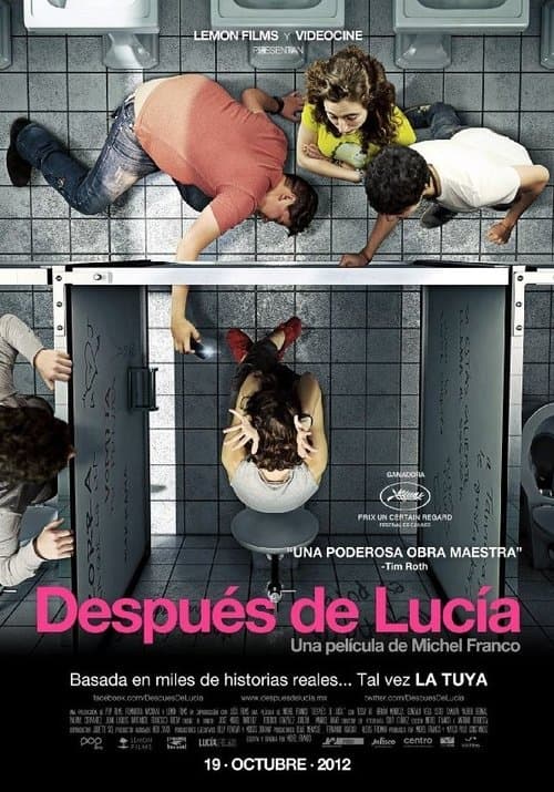 Afiche de Después de Lucía
