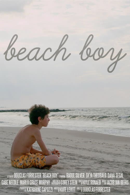 Afiche de Beach Boy