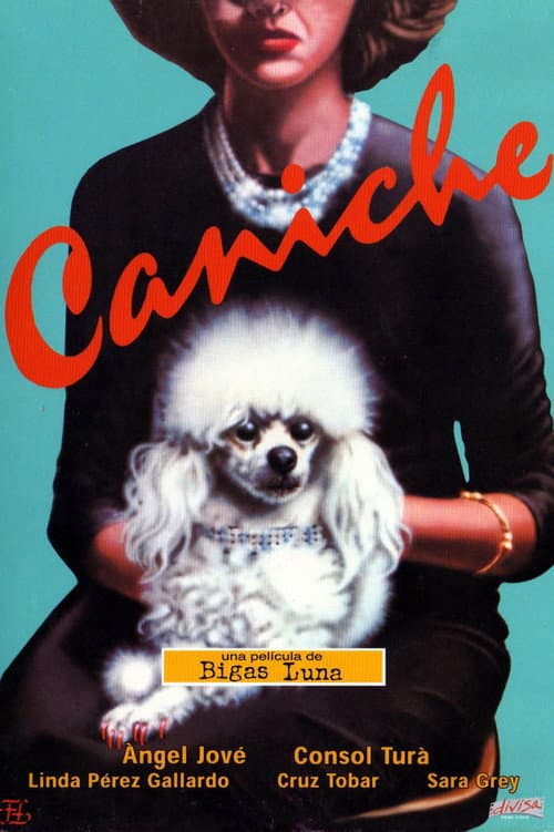 Afiche de Caniche