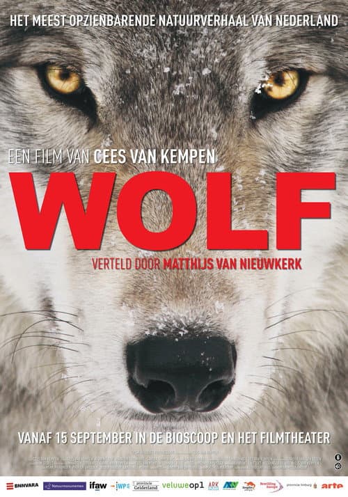 Afiche de Wolf
