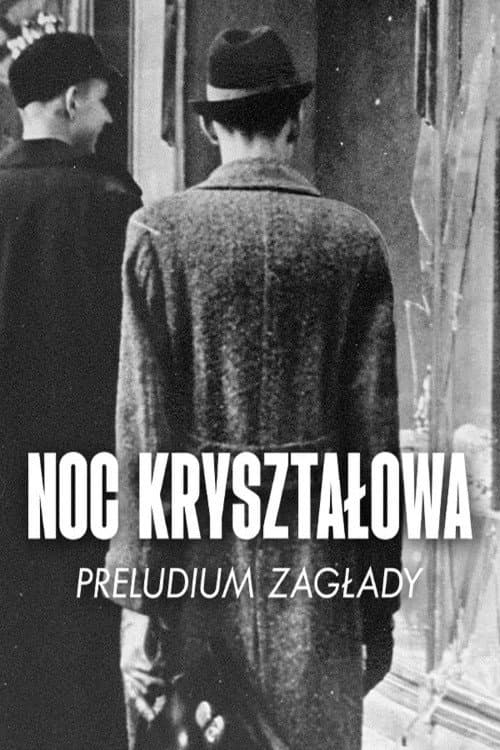 Afiche de La nuit de cristal, les pogroms de novembre