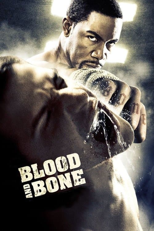 Afiche de Blood and Bone