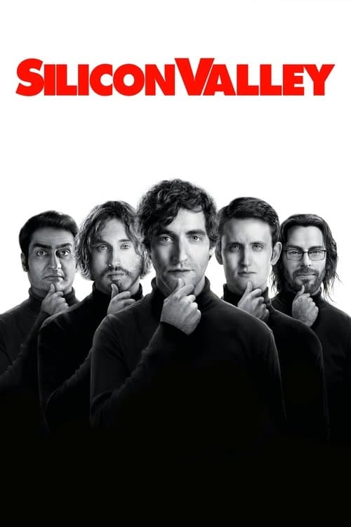 Afiche de Silicon Valley