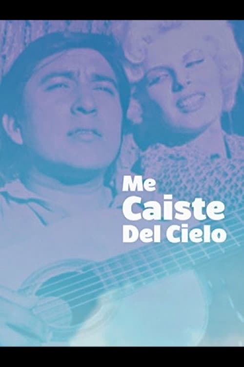 Afiche de Me caiste del cielo